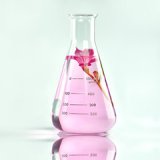 35 芳香剤キット 理科 化学 STEM教育＜お知らせ＞自由研究に最適！実験くんガイドブック最新版（税込550円）を商品お買上げの皆様にもれなくプレゼントいたします。