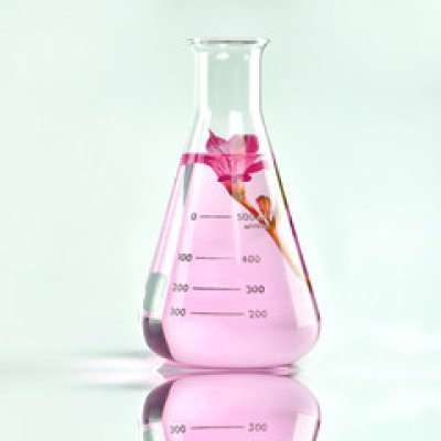 画像1: 35 芳香剤キット 理科 化学 STEM教育＜お知らせ＞自由研究に最適！実験くんガイドブック最新版（税込550円）を商品お買上げの皆様にもれなくプレゼントいたします。