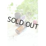 39 香料3点セット 理科 化学 STEM教育＜お知らせ＞自由研究に最適！実験くんガイドブック最新版（税込550円）を商品お買上げの皆様にもれなくプレゼントいたします。