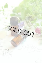 39 香料3点セット 理科 化学 STEM教育＜お知らせ＞自由研究に最適！実験くんガイドブック最新版（税込550円）を商品お買上げの皆様にもれなくプレゼントいたします。