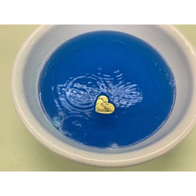 画像8: 61 発泡入浴剤キット 理科 化学 STEM教育 実験キット＜お知らせ＞自由研究に最適！実験くんガイドブック最新版（税込550円）を商品お買上げの皆様にもれなくプレゼントいたします。