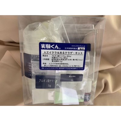 画像2: 62人工イクラ & 光るクラゲ・キット 理科 化学 STEM教育 実験キット＜お知らせ＞自由研究に最適！実験くんガイドブック最新版（税込550円）を商品お買上げの皆様にもれなくプレゼントいたします。
