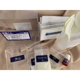 62人工イクラ & 光るクラゲ・キット 理科 化学 STEM教育 実験キット＜お知らせ＞自由研究に最適！実験くんガイドブック最新版（税込550円）を商品お買上げの皆様にもれなくプレゼントいたします。