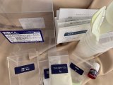 62人工イクラ & 光るクラゲ・キット 理科 化学 STEM教育 実験キット＜お知らせ＞自由研究に最適！実験くんガイドブック最新版（税込550円）を商品お買上げの皆様にもれなくプレゼントいたします。