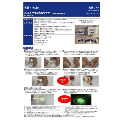 画像7: 62人工イクラ & 光るクラゲ・キット 理科 化学 STEM教育 実験キット＜お知らせ＞自由研究に最適！実験くんガイドブック最新版（税込550円）を商品お買上げの皆様にもれなくプレゼントいたします。