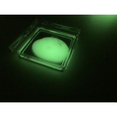 画像8: 62人工イクラ & 光るクラゲ・キット 理科 化学 STEM教育 実験キット＜お知らせ＞自由研究に最適！実験くんガイドブック最新版（税込550円）を商品お買上げの皆様にもれなくプレゼントいたします。