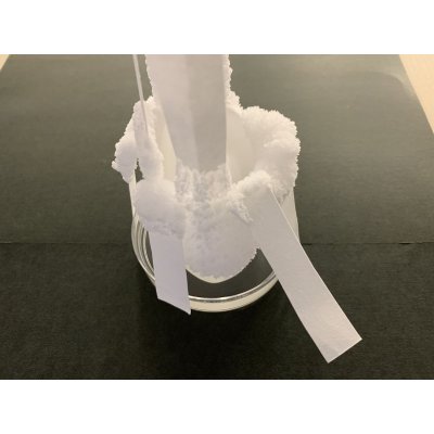 画像4: 70雪の結晶キット 美しい 尿素の結晶化を体験する 理科 化学 STEM教育＜お知らせ＞自由研究に最適！実験くんガイドブック最新版（税込550円）を商品お買上げの皆様にもれなくプレゼントいたします。