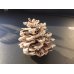 画像8: 70雪の結晶キット 美しい 尿素の結晶化を体験する 理科 化学 STEM教育＜お知らせ＞自由研究に最適！実験くんガイドブック最新版（税込550円）を商品お買上げの皆様にもれなくプレゼントいたします。