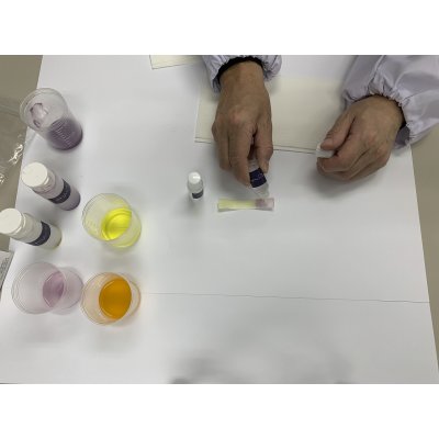 画像4: 66手づくり酸・アルカリ判定紙キット ウコン 紫芋から 酸 アルカリ 判定紙キット をつくる 変色反応 レシピ公開！ 理科 化学 STEM教育＜お知らせ＞自由研究に最適！実験くんガイドブック最新版（税込550円）を商品お買上げの皆様にもれなくプレゼントいたします。