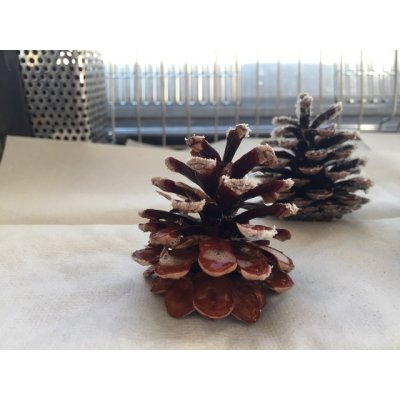 画像7: 70雪の結晶キット 美しい 尿素の結晶化を体験する 理科 化学 STEM教育＜お知らせ＞自由研究に最適！実験くんガイドブック最新版（税込550円）を商品お買上げの皆様にもれなくプレゼントいたします。