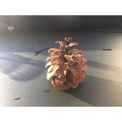 画像6: 70雪の結晶キット 美しい 尿素の結晶化を体験する 理科 化学 STEM教育＜お知らせ＞自由研究に最適！実験くんガイドブック最新版（税込550円）を商品お買上げの皆様にもれなくプレゼントいたします。