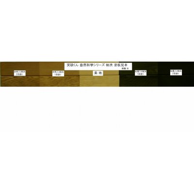 画像5: 120 自然科学シリーズ4 柿渋キット 理科 化学 STEM教育＜お知らせ＞自由研究に最適！実験くんガイドブック最新版（税込550円）を商品お買上げの皆様にもれなくプレゼントいたします。