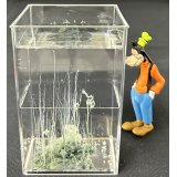 86 硫酸鉄 ケミカルガーデン 深緑のガーデンをつくる。 理科 化学 STEM教育 化学薬品＜お知らせ＞自由研究に最適！実験くんガイドブック最新版（税込550円）を商品お買上げの皆様にもれなくプレゼントいたします。