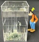 86 硫酸鉄 ケミカルガーデン 深緑のガーデンをつくる。 理科 化学 STEM教育 化学薬品＜お知らせ＞自由研究に最適！実験くんガイドブック最新版（税込550円）を商品お買上げの皆様にもれなくプレゼントいたします。