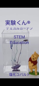 79 塩化コバルトII6水和物 ケミカルガーデン 結晶晶出 理科 化学 STEM教育 化学薬品