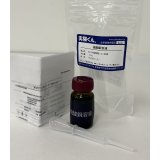 88 硫酸銅溶液 ケミカルガーデン 理科 化学 STEM教育 化学薬品＜お知らせ＞自由研究に最適！実験くんガイドブック最新版（税込550円）を商品お買上げの皆様にもれなくプレゼントいたします。