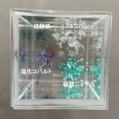 画像3: 89 実験くん ケミカルガーデンキット 化学反応で庭園のオブジェをつくる 理科 化学 STEM教育 化学実験キット＜お知らせ＞自由研究に最適！実験くんガイドブック最新版（税込550円）を商品お買上げの皆様にもれなくプレゼントいたします。