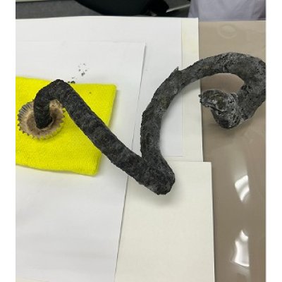 画像5: 202 実験くん ヘビ玉花火キット 異色の花火・ヘビ玉の原理を知る 重曹の助燃効果を体験する STE教育 化学を遊ぶ。＜お知らせ＞自由研究に最適！実験くんガイドブック最新版（税込550円）を商品お買上げの皆様にもれなくプレゼントいたします。