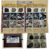 207 実験くん 鉱石標本 火成岩6種 ( 研磨 )  玄武岩 安山岩 流紋岩 斑レイ岩 閃緑岩 花崗岩 STEM教育 理科・地学＜お知らせ＞自由研究に最適！実験くんガイドブック最新版（税込550円）を商品お買上げの皆様にもれなくプレゼントいたします。