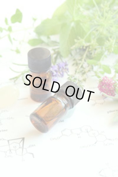 画像1: 39 香料3点セット 理科 化学 STEM教育＜お知らせ＞自由研究に最適！実験くんガイドブック最新版（税込550円）を商品お買上げの皆様にもれなくプレゼントいたします。 (1)