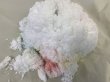 画像3: 70雪の結晶キット 美しい 尿素の結晶化を体験する 理科 化学 STEM教育＜お知らせ＞自由研究に最適！実験くんガイドブック最新版（税込550円）を商品お買上げの皆様にもれなくプレゼントいたします。 (3)