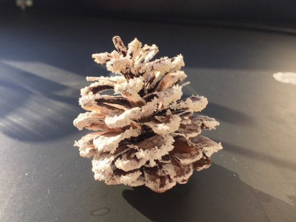 画像8: 70雪の結晶キット 美しい 尿素の結晶化を体験する 理科 化学 STEM教育<お知らせ>自由研究に最適!実験くんガイドブック最新版(税込550円)を商品お買上げの皆様にもれなくプレゼントいたします。 (8)