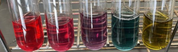 画像5: 66手づくり酸・アルカリ判定紙キット ウコン 紫芋から 酸 アルカリ 判定紙キット をつくる 変色反応 レシピ公開! 理科 化学 STEM教育<お知らせ>自由研究に最適!実験くんガイドブック最新版(税込550円)を商品お買上げの皆様にもれなくプレゼントいたします。 (5)