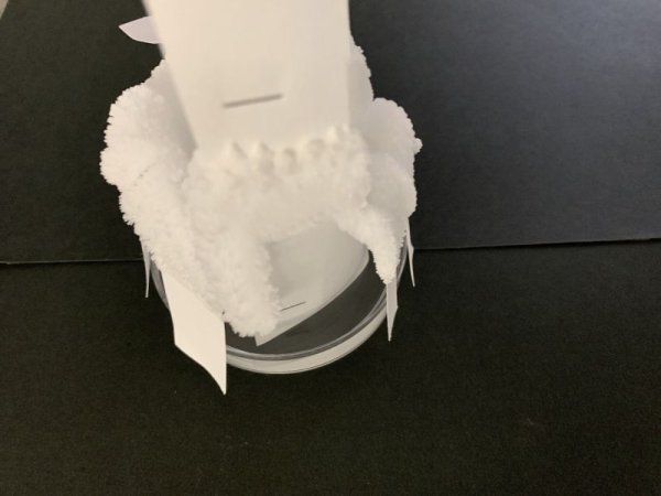 画像5: 70雪の結晶キット 美しい 尿素の結晶化を体験する 理科 化学 STEM教育<お知らせ>自由研究に最適!実験くんガイドブック最新版(税込550円)を商品お買上げの皆様にもれなくプレゼントいたします。 (5)