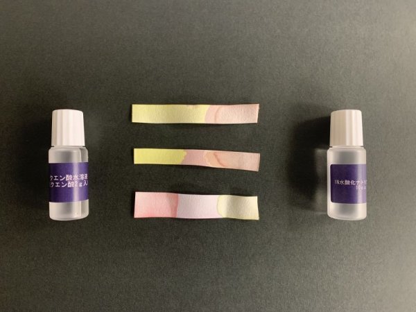 画像2: 66手づくり酸・アルカリ判定紙キット ウコン 紫芋から 酸 アルカリ 判定紙キット をつくる 変色反応 レシピ公開! 理科 化学 STEM教育<お知らせ>自由研究に最適!実験くんガイドブック最新版(税込550円)を商品お買上げの皆様にもれなくプレゼントいたします。 (2)