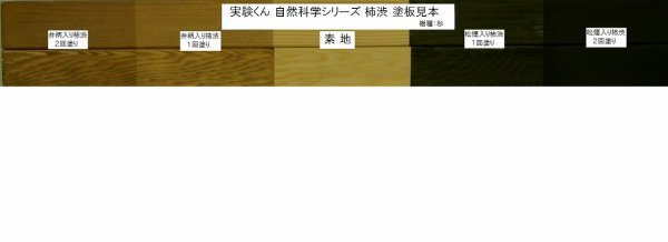 画像5: 120 自然科学シリーズ4 柿渋キット 理科 化学 STEM教育＜お知らせ＞自由研究に最適！実験くんガイドブック最新版（税込550円）を商品お買上げの皆様にもれなくプレゼントいたします。 (5)