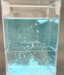 画像3: 204 実験くん No.204  塩化アンモニウムの雪の結晶実験キット すぐに実験できるフルセット 美しく天空を舞う雪の結晶 レシピ 動画アップ STEM教育 (3)
