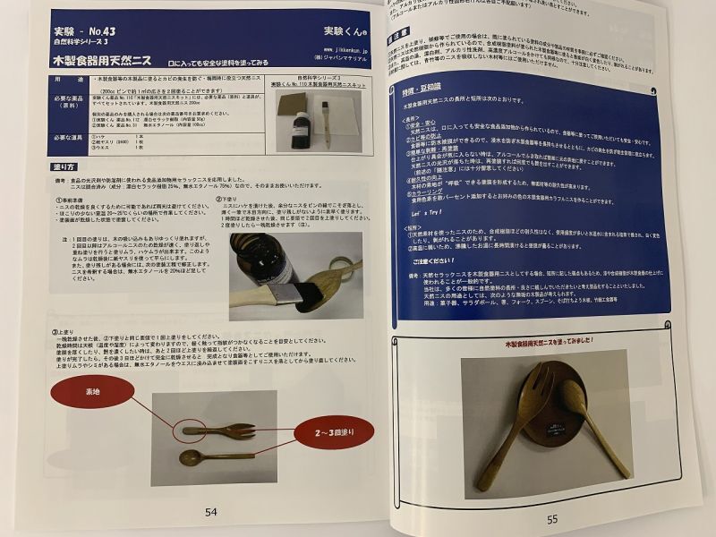 実験くん ガイドブック 通販